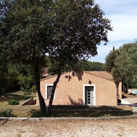 Comorebi Provence Entrecasteaux Eksteriør billede