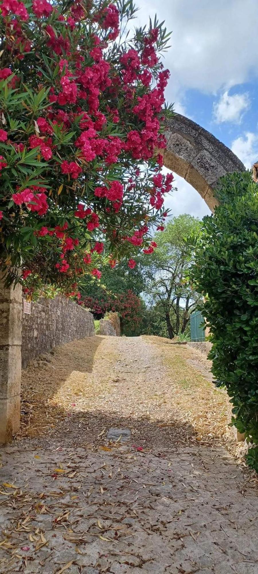 Comorebi Provence Entrecasteaux Eksteriør billede